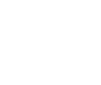 puzzles logo
